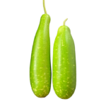 Bottle gourd 1000gm