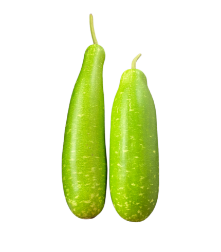 Bottle gourd 1000gm