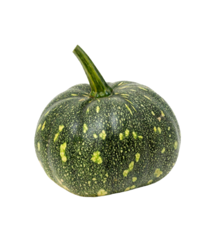 Pumpkin 1000G