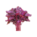 Fresh red spinach / Lal sag 500g 1 bunch