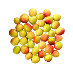 Apple ber / Sweet boroi 500g