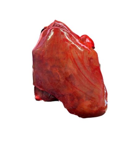 FRESH NÖT LEVER 1000G (HALAL)